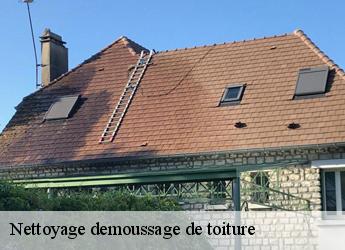 Nettoyage demoussage de toiture