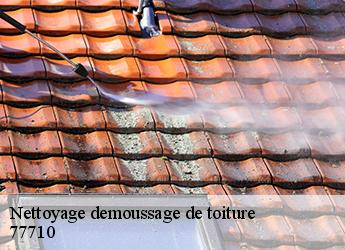Nettoyage demoussage de toiture 77710
