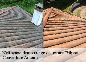 Nettoyage demoussage de toiture  77470
