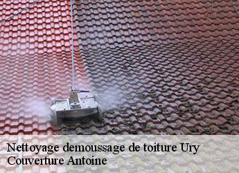Nettoyage demoussage de toiture  ury-77760 Couverture Antoine