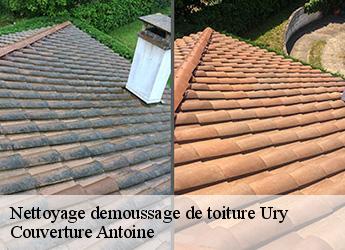 Nettoyage demoussage de toiture  77760