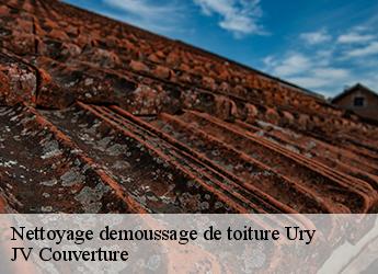 Nettoyage demoussage de toiture