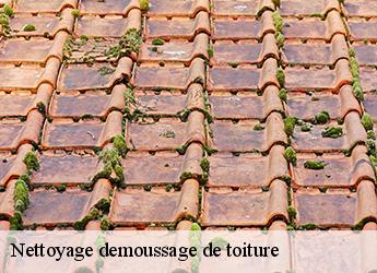 Nettoyage demoussage de toiture  77970