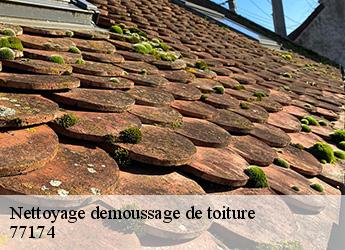 Nettoyage demoussage de toiture 77174