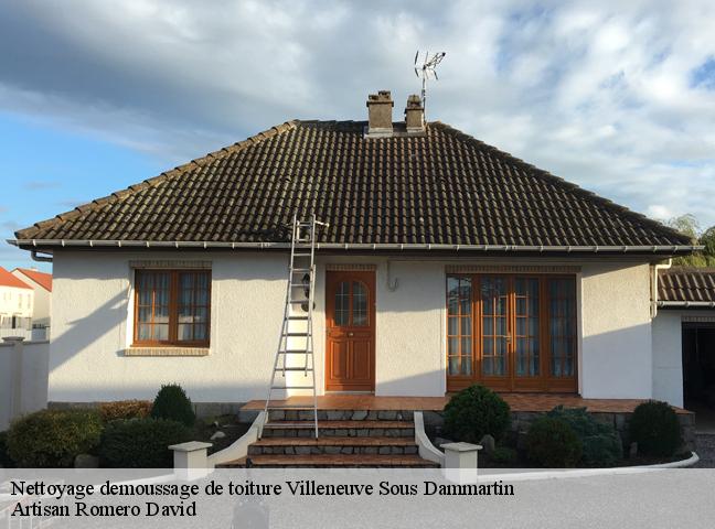 Nettoyage demoussage de toiture  villeneuve-sous-dammartin-77230 Artisan Romero David