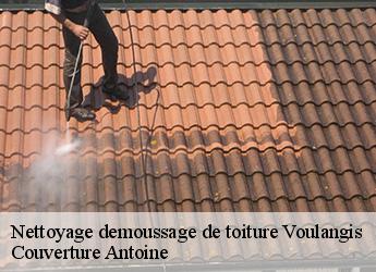 Nettoyage demoussage de toiture