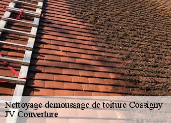 Nettoyage demoussage de toiture 77173